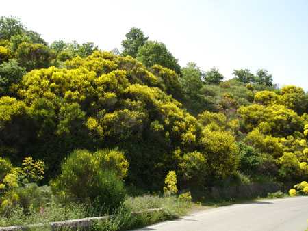 Foto Sicilia - 104