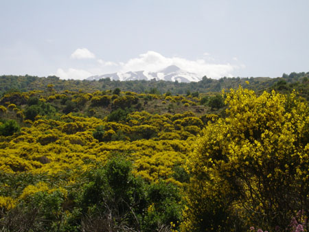 Foto Sicilia - 106