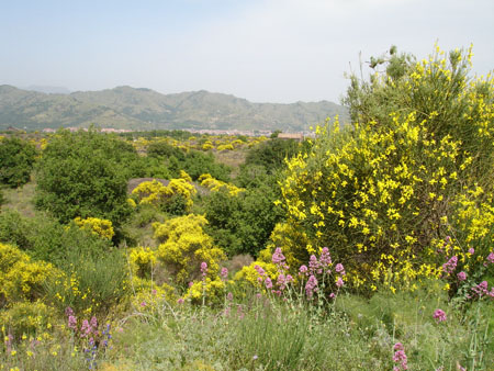 Foto Sicilia - 107